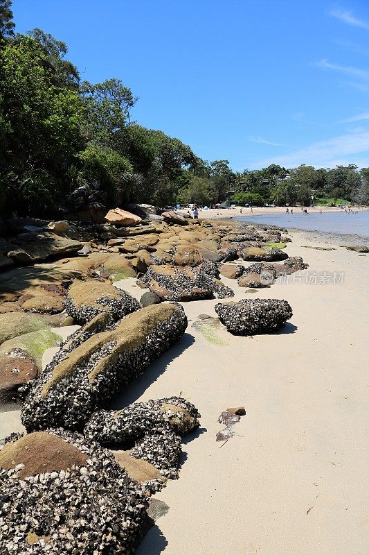 澳大利亚悉尼的Burraneer Cronulla海滩退潮